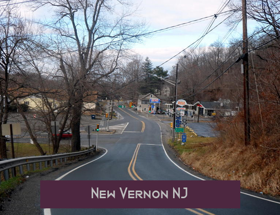 New Vernon taxi NJ